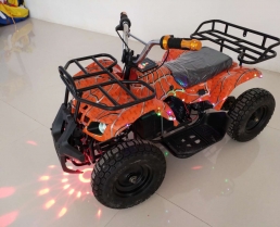 客戶來廠試小沙灘車